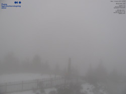 Pohled na jihozápad, Smrk