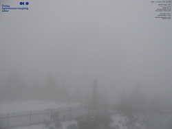 Pohled na jihozápad, Smrk