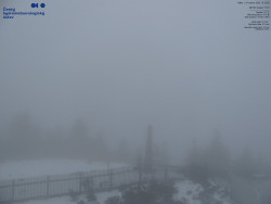 Pohled na jihozápad, Smrk