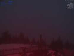 Pohled na jihozápad, Smrk