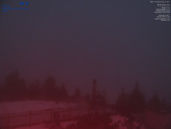 Pohled na jihozápad, Smrk