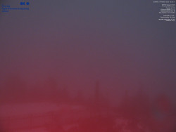 Pohled na jihozápad, Smrk