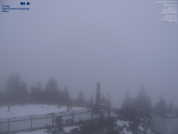 Pohled na jihozápad, Smrk