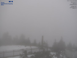 Pohled na jihozápad, Smrk