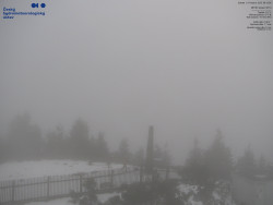 Pohled na jihozápad, Smrk