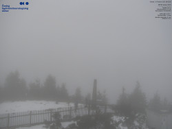 Pohled na jihozápad, Smrk