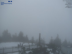 Pohled na jihozápad, Smrk