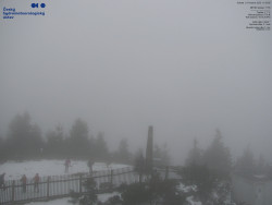 Pohled na jihozápad, Smrk