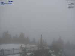 Pohled na jihozápad, Smrk