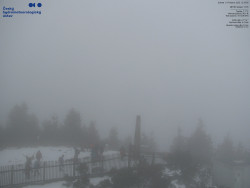 Pohled na jihozápad, Smrk