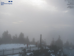 Pohled na jihozápad, Smrk