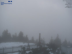 Pohled na jihozápad, Smrk