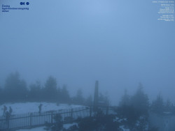 Pohled na jihozápad, Smrk