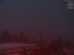 Pohled na jihozápad, Smrk