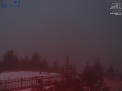 Pohled na jihozápad, Smrk