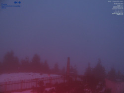 Pohled na jihozápad, Smrk