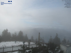 Pohled na jihozápad, Smrk