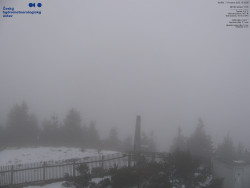 Pohled na jihozápad, Smrk