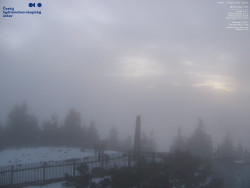 Pohled na jihozápad, Smrk