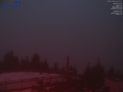 Pohled na jihozápad, Smrk