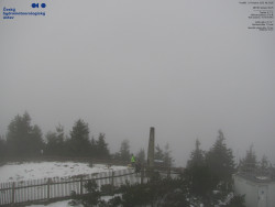 Pohled na jihozápad, Smrk