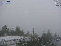 Pohled na jihozápad, Smrk