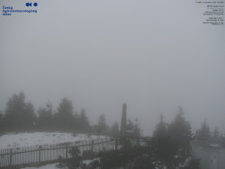 Pohled na jihozápad, Smrk