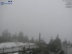 Pohled na jihozápad, Smrk