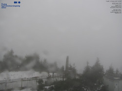 Pohled na jihozápad, Smrk