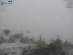 Pohled na jihozápad, Smrk