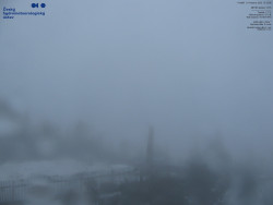 Pohled na jihozápad, Smrk