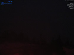 Pohled na jihozápad, Smrk