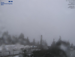 Pohled na jihozápad, Smrk