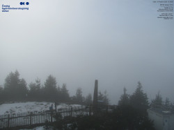 Pohled na jihozápad, Smrk