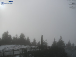 Pohled na jihozápad, Smrk