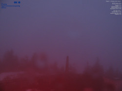 Pohled na jihozápad, Smrk