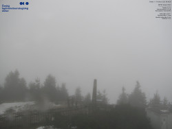 Pohled na jihozápad, Smrk