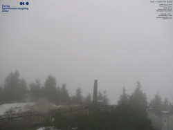 Pohled na jihozápad, Smrk