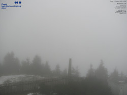 Pohled na jihozápad, Smrk