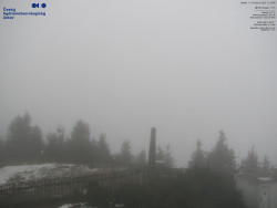 Pohled na jihozápad, Smrk