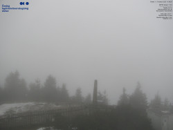 Pohled na jihozápad, Smrk