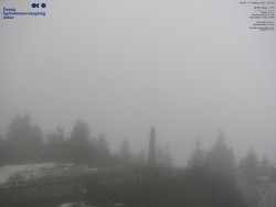 Pohled na jihozápad, Smrk