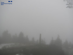 Pohled na jihozápad, Smrk