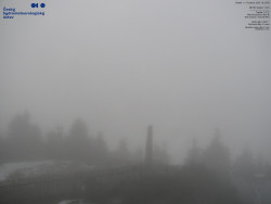 Pohled na jihozápad, Smrk