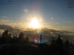 Pohled na jihozápad, Smrk