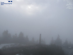 Pohled na jihozápad, Smrk