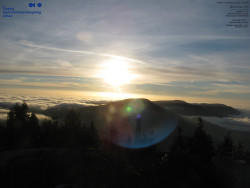 Pohled na jihozápad, Smrk