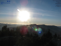 Pohled na jihozápad, Smrk