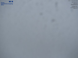 Pohled na jihozápad, Smrk