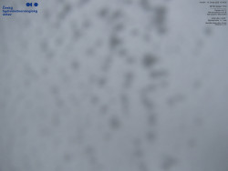 Pohled na jihozápad, Smrk